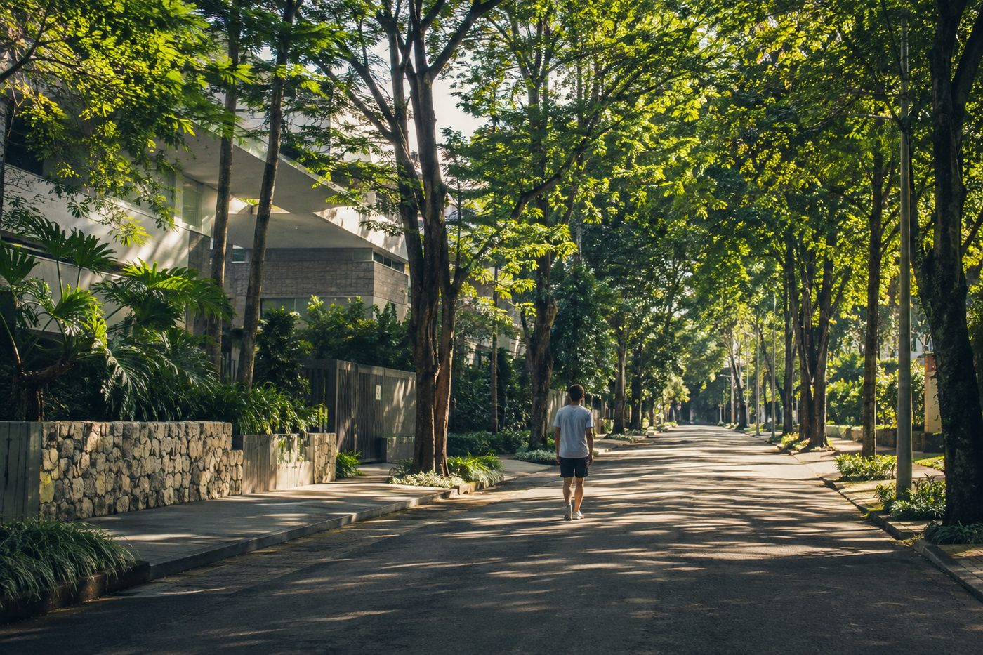Person taking a slow morning walk down a tree-lined street in El Poblado